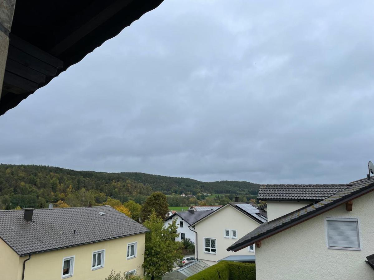 Modernes Apartment Mit Top Ausstattung Und Kamin Im Oberpfaelzer Seenland Nittenau Exterior photo
